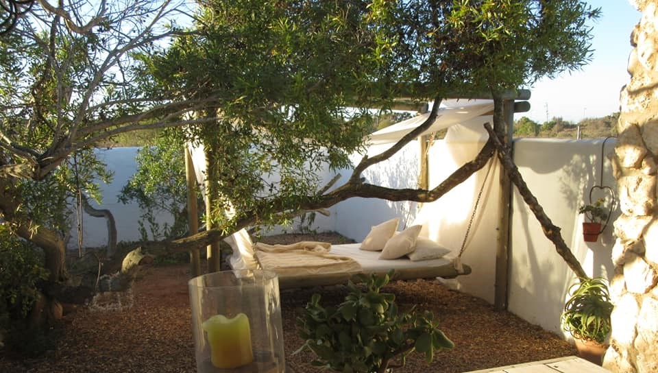 150019595_10158032882328775_2045512628718518285_n